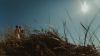 Photographe mariage, Bordeaux, gironde, Bassin d'Arcachon,33